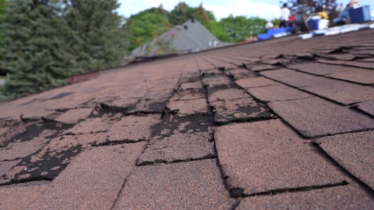 Professional Roofing Services in Pauls Valley, OK